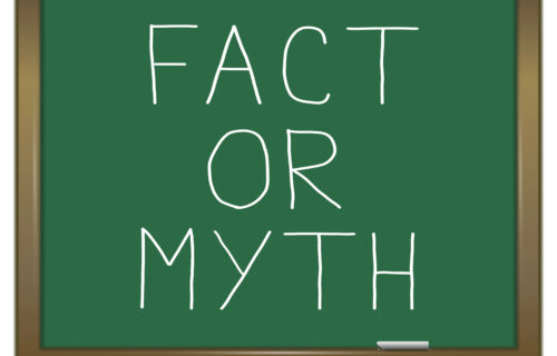 Image shows chalkboard with the words fact or myth.