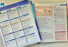 Image shows reading lesson plans in popular boxed curriculums.