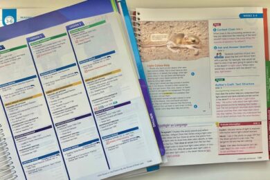 Image shows reading lesson plans in popular boxed curriculums.