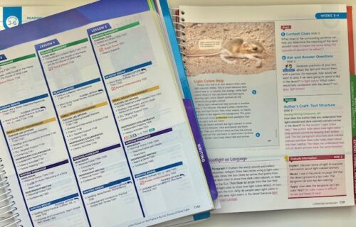 Image shows reading lesson plans in popular boxed curriculums.