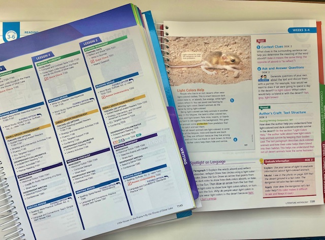 Image shows reading lesson plans in popular boxed curriculums.